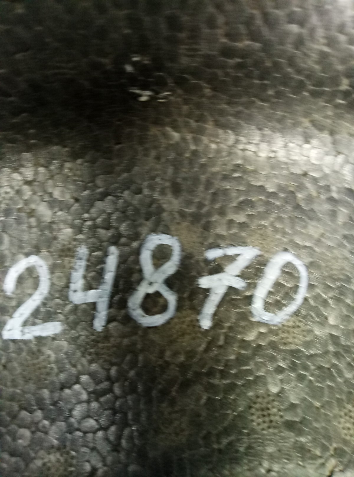 Накладка запасного колеса Ford Focus 3 2011-  на Ford Focus 3