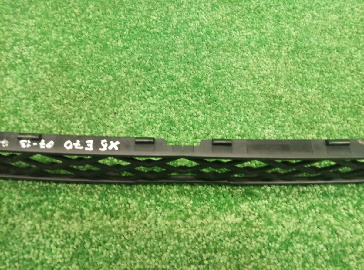 Решетка в бампер центральная BMW X5 E70 2006-2010 51117159597 на BMW X5 E70