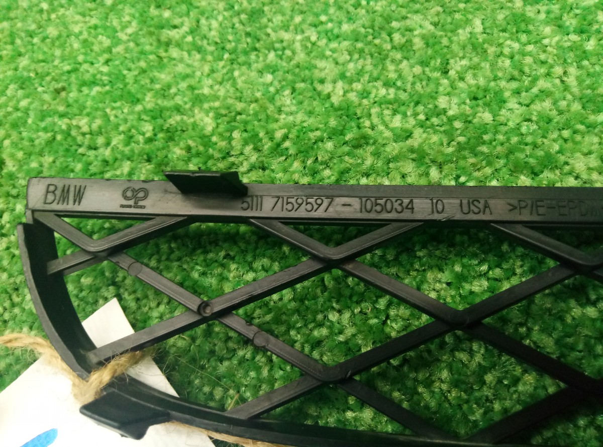 Решетка в бампер центральная BMW X5 E70 2006-2010 51117159597 на BMW X5 E70