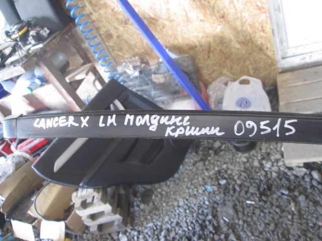 Молдинг крыши (лев прав) Mitsubishi Lancer X 2007-н.в. на Mitsubishi Lancer X
