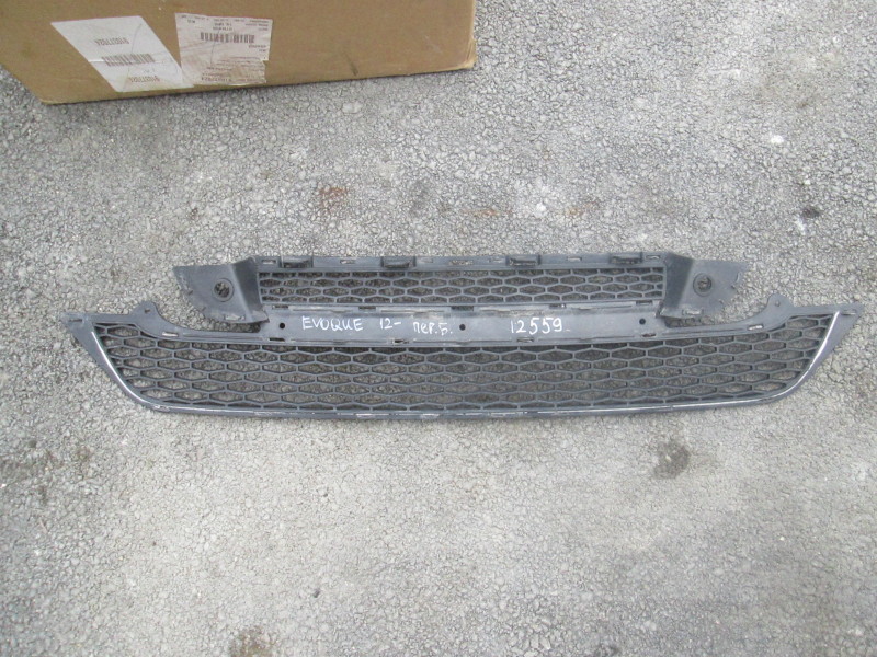 Решетка в бампер центральная Land Rover Range Rover Evoque  2011-2015 на Land Rover Range Rover Evoque 
